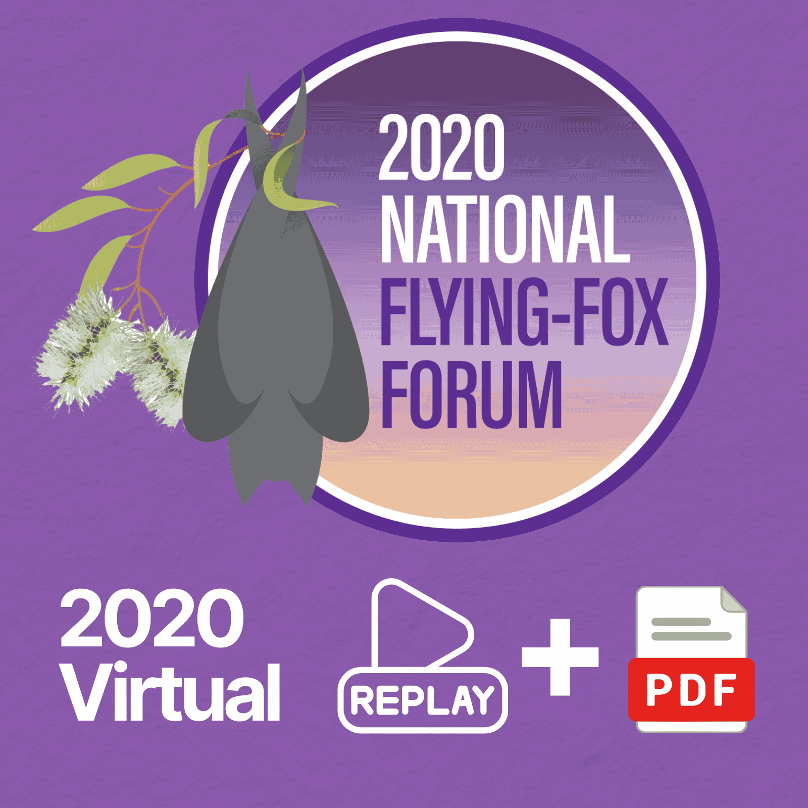 2020 Flying Fox Forum Virtual Summit