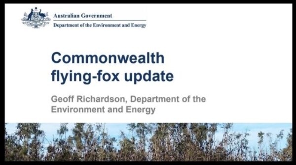 A discussion paper on Commonwealth flying-fox update 2019