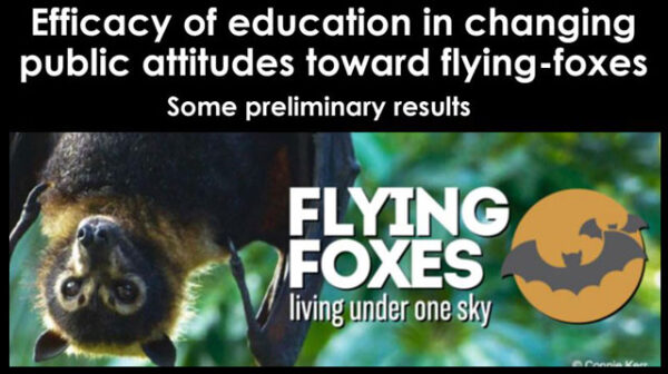A discussion paper on Efficacy of education in changing public attitudes toward flying-foxes