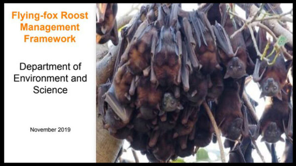 A discussion paper on Flying-fox Roost Management Framework