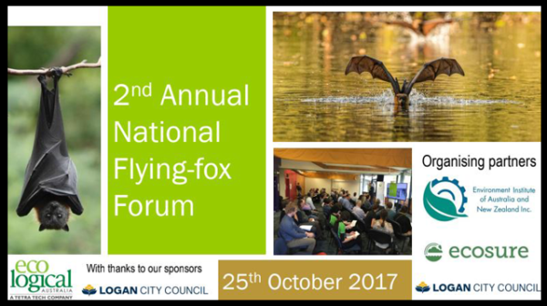 A discussion paper on 2nd Annual National Flying-fox Forum