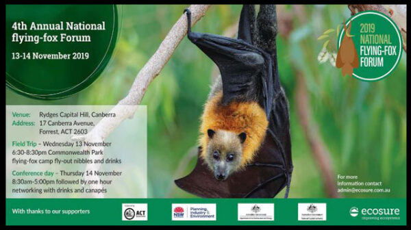 A discussion paper on 4th Annual National Flying-fox Forum