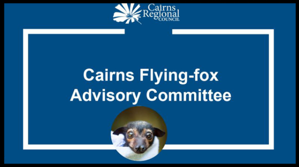 A discussion paper on Cairns Flying-fox Advisory Committee