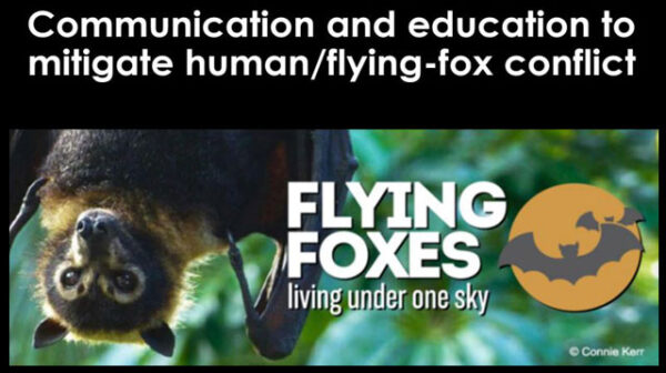 A discussion paper on Communication and education to mitigate human/flying-fox conflict