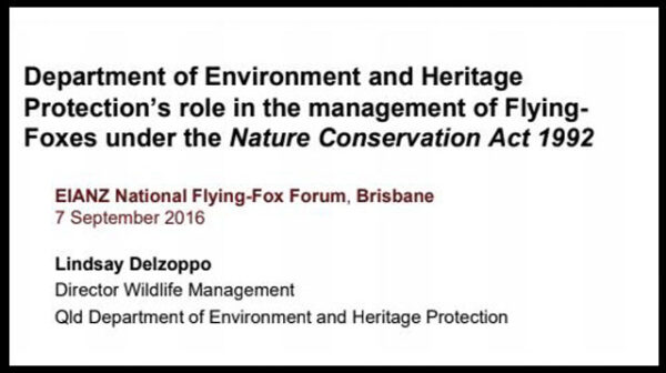 A discussion paper on Department of Environment and Heritage Protection’s role in the management of Flying-Foxes under the Nature Conservation Act 1992