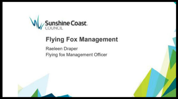 A discussion paper on Flying Fox Management