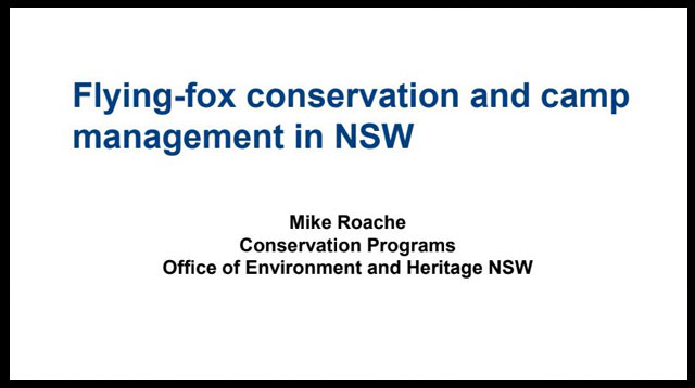 A discussion paper on Flying-fox conservation and camp management in NSW