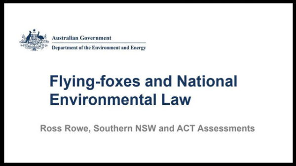A discussion paper on Flying-foxes and National Environmental Law