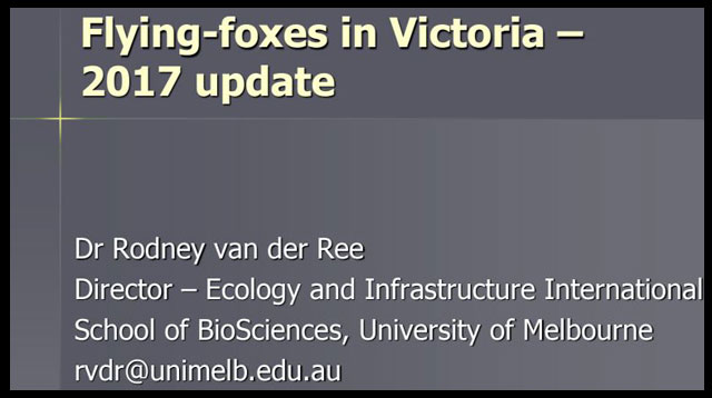 A discussion paper on Flying-foxes in Victoria – 2017 update