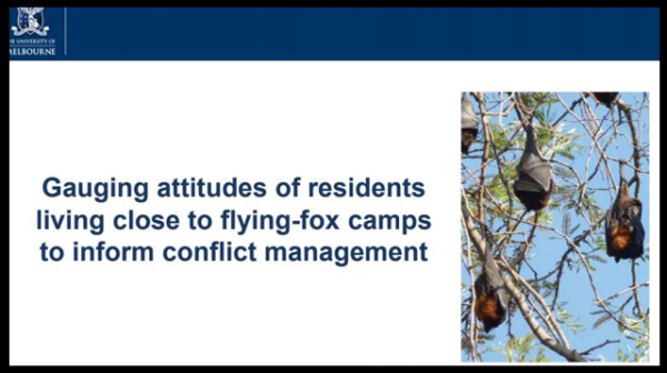 A discussion paper on Gauging attitudes of residents living close to flying-fox camps to inform conflict management