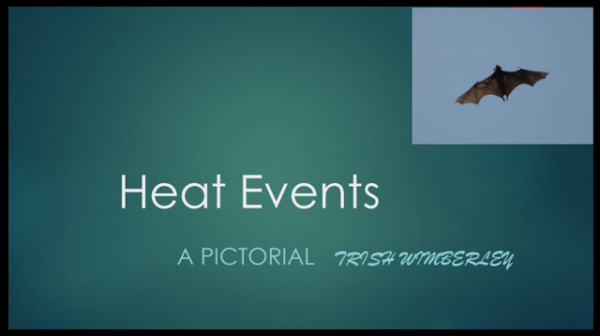A discussion paper on Heat Events