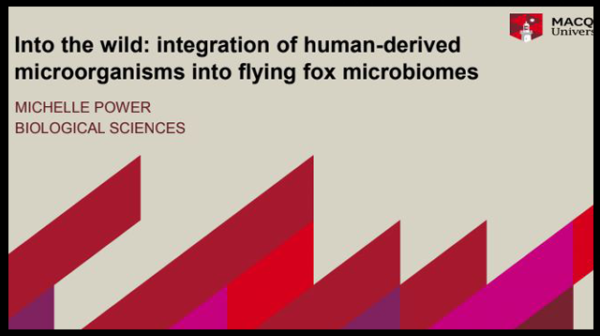 A discussion paper on Into the wild: integration of human-derived microorganisms into flying fox microbiomes