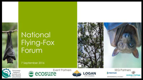 A discussion paper on National Flying-Fox Forum