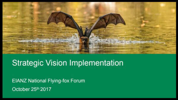 A discussion paper on Strategic Vision Implementation