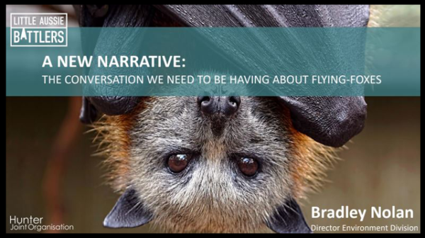 A discussion paper on THE CONVERSATION WE NEED TO BE HAVING ABOUT FLYING-FOXES